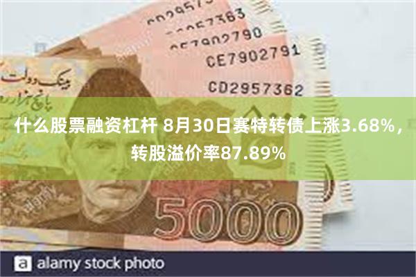 什么股票融资杠杆 8月30日赛特转债上涨3.68%，转股溢价率87.89%