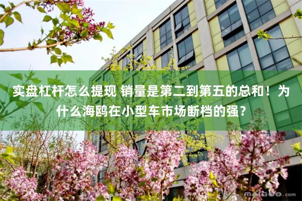 实盘杠杆怎么提现 销量是第二到第五的总和！为什么海鸥在小型车市场断档的强？