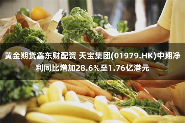 黄金期货鑫东财配资 天宝集团(01979.HK)中期净利同比增加28.6%至1.76亿港元