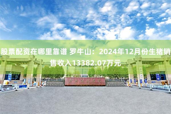 股票配资在哪里靠谱 罗牛山：2024年12月份生猪销售收入13382.07万元