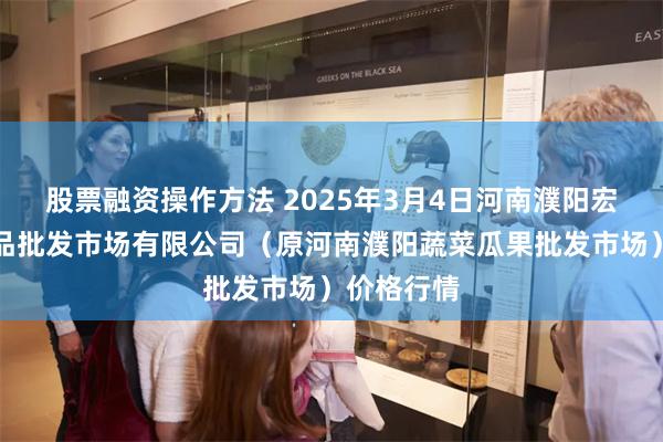 股票融资操作方法 2025年3月4日河南濮阳宏进农副产品批发市场有限公司（原河南濮阳蔬菜瓜果批发市场）价格行情